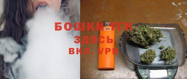 СК Балахна