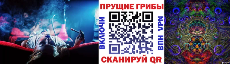 Псилоцибиновые грибы ЛСД  купить наркотик  Новозыбков 