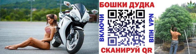 МАРИХУАНА конопля  Новозыбков 
